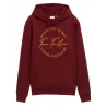 TOM TAILOR - Sweat à capuche - bordeaux