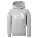 THE NORTH FACE - Sweat capuche - gris
