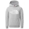THE NORTH FACE - Sweat capuche - gris
