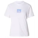 CALVIN KLEIN - Tee-shirt - blanc