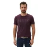 FERRE - Tee Shirt Ferrando - bordeaux