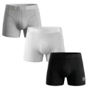BILL TORNADE - Lot de 3 boxers - noir, blanc et gris