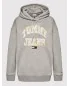 TOMMY HILFIGER - Sweat à capuche - gris