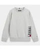 TOMMY HILFIGER - Sweat - gris