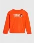 TOMMY HILFIGER - Tee Shirt - orange
