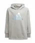 ADIDAS Junior - Sweat à capuche - gris