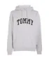 TOMMY JEANS - Sweat à capuche - gris